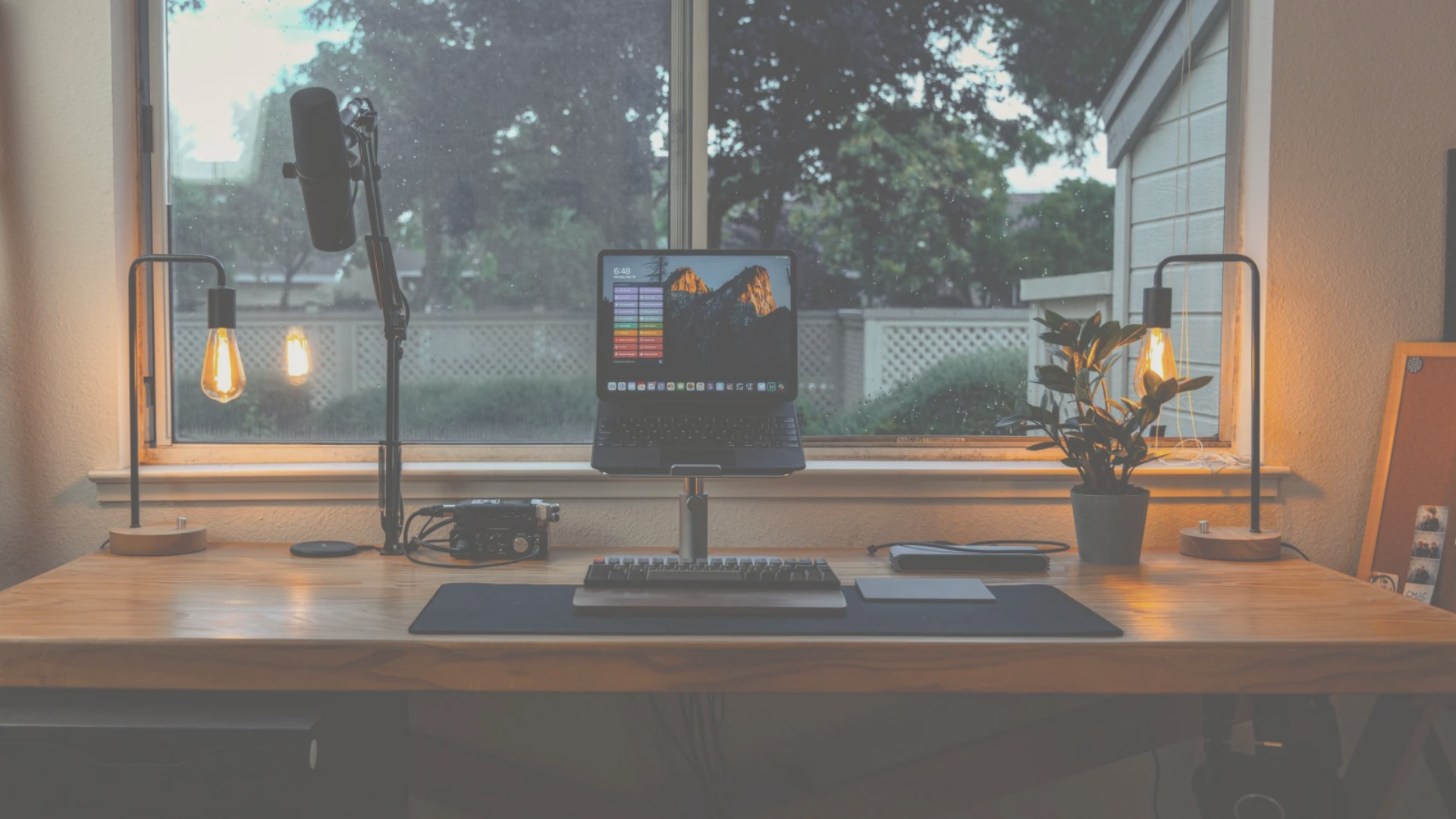freelance developer